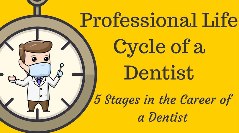 5 Stages in the Professional…